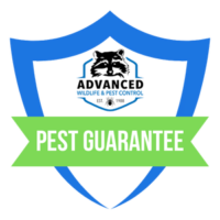 Blue shield with "Pest Guarantee" text.